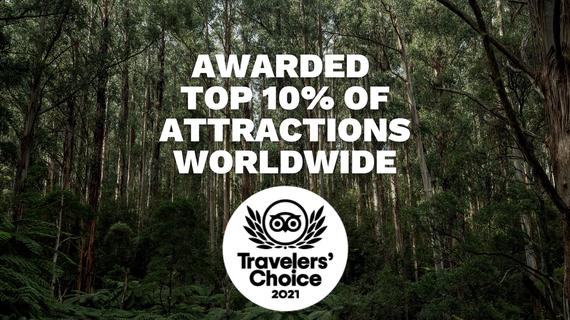 Awarded Top 10% Of Attractions Worldwide