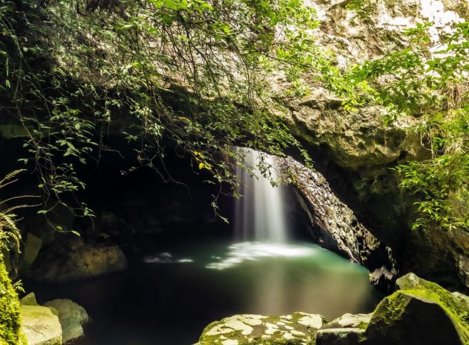 Spectacular Springbrook Waterfalls Guided Hike | Coming Soon