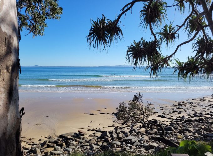 Noosa National Park Guided Hike