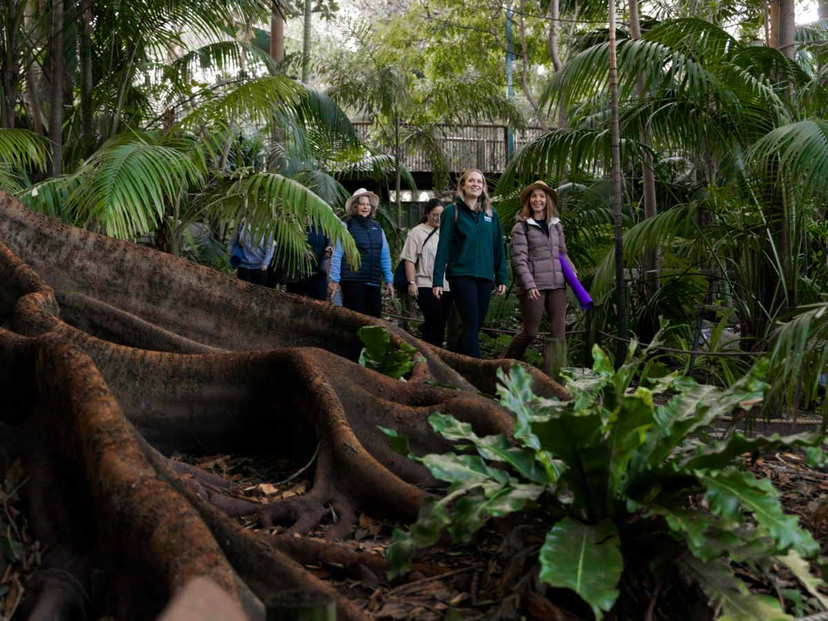 Guided walk through Kings Park Botanic Garden with group exploring native and tropical plants in Perth