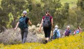 Scenic group hiking in Perth bushland with wildflowers and nature trails