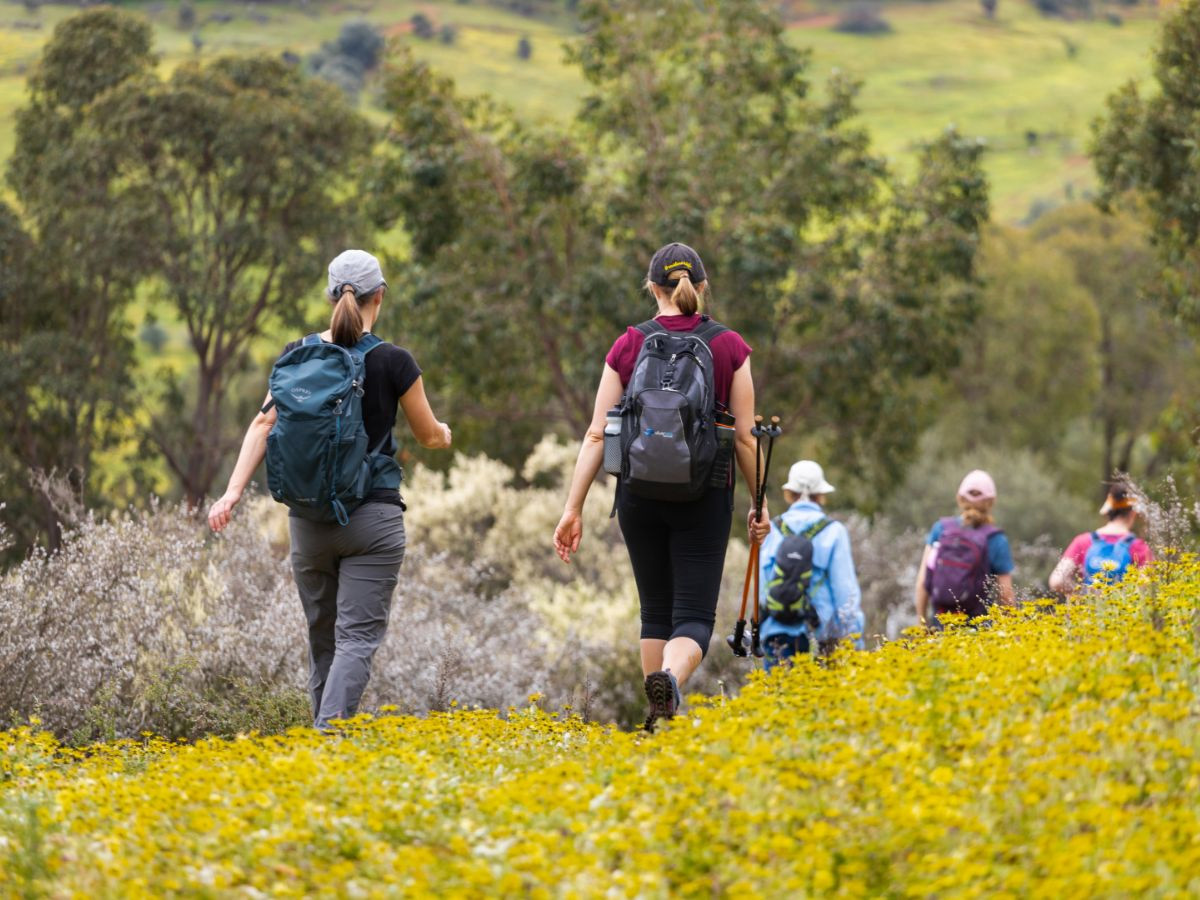 Scenic group hiking in Perth bushland with wildflowers and nature trails