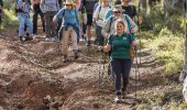 Corporate wellness hike in Perth with guided bushwalking experience for team engagement