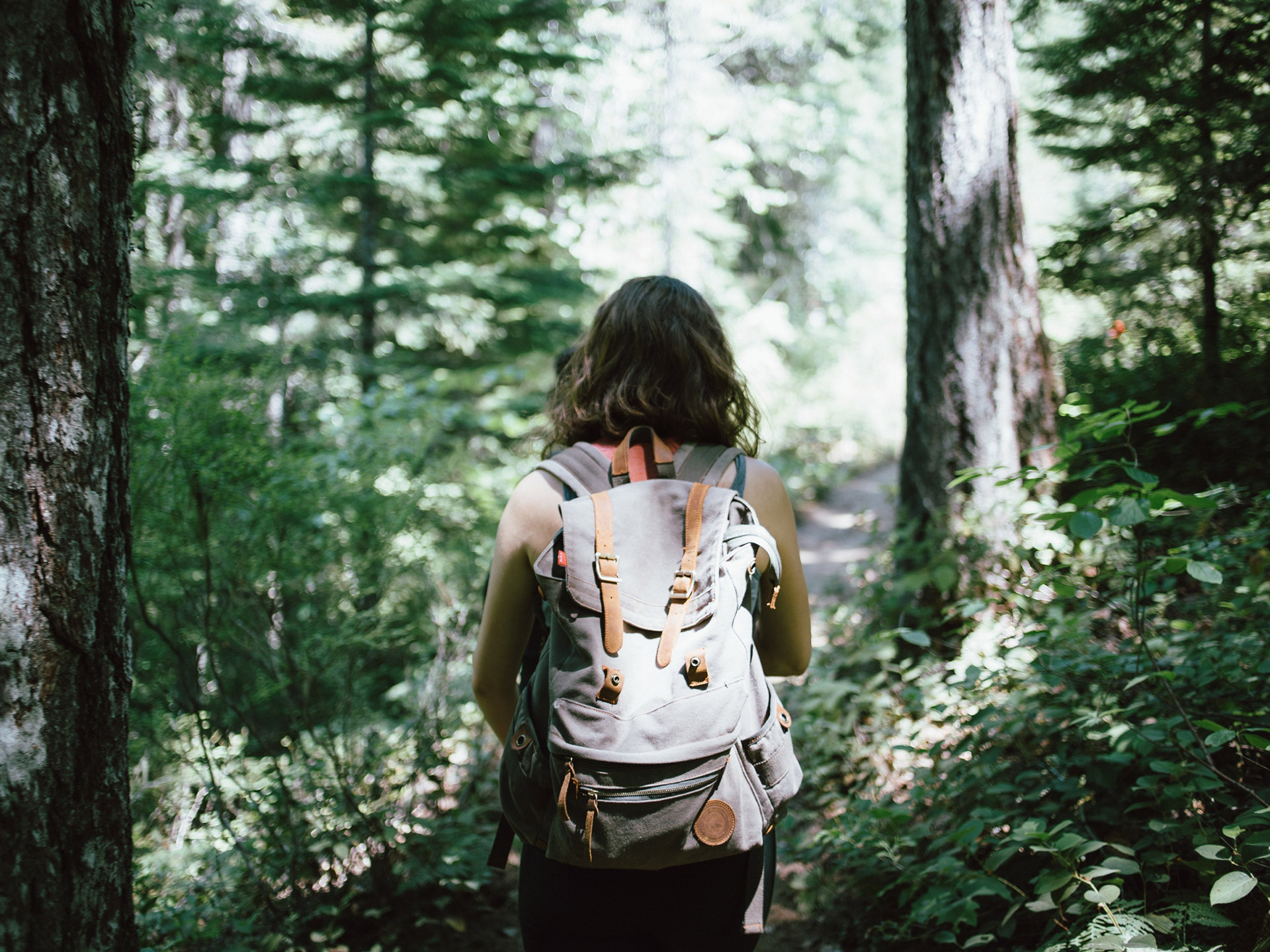 Solo forest hike on Perth nature trail with mindfulness and outdoor escape experience