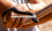 Snakes 101 – What to Know About Snakes On The Trail