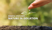 Finding Nature In An Isolated World