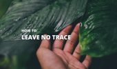 Leave No Trace.