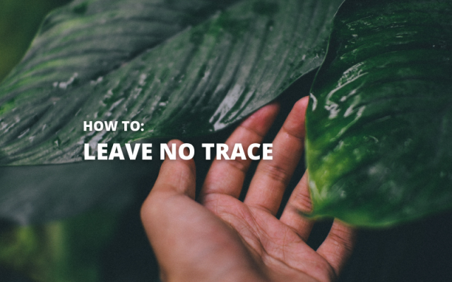 Leave No Trace.