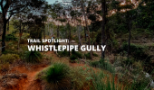 Whistlepipe Gully | The Perfect Beginners Hike In Perth