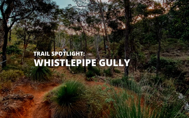 Whistlepipe Gully | The Perfect Beginners Hike In Perth