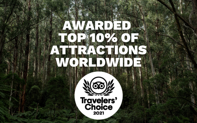 Awarded top 10% Of Attractions Worldwide