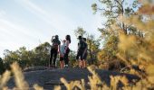 Group hiking experience on a rocky trail surrounded by bushland in Perth Hills
