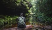 Shinrin-Yoku: The Science Behind Forest Bathing
