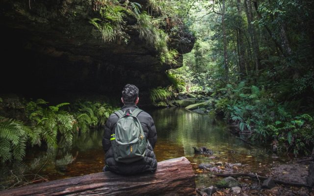 Shinrin-Yoku: The Science Behind Forest Bathing