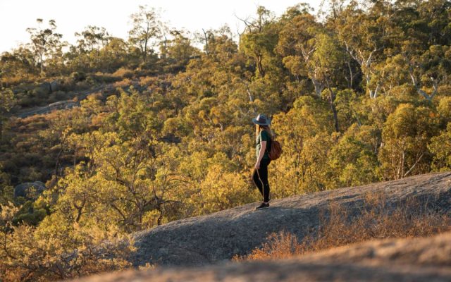 A Local’s Guide to John Forrest National Park