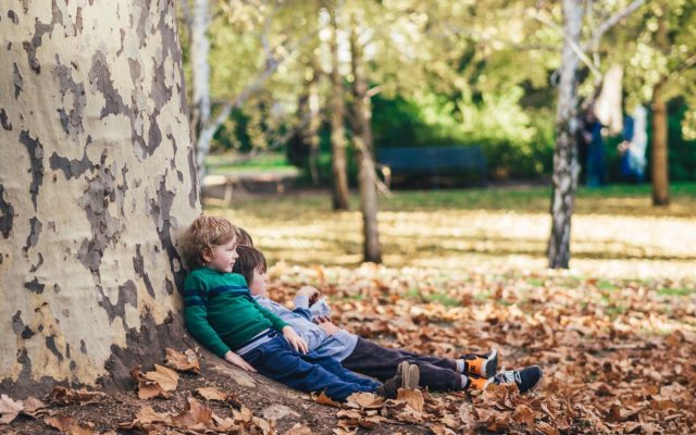 Why Chittering’s Scenic Trails Are Perfect for Your Next Family Adventure!”