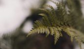 Discovering the Beauty of Wabi Sabi in Nature