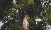 Hiking For Seniors