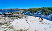 Finding The Right Rottnest Adventure For You