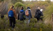 6 Science-Backed Reasons to Embrace Nature for Wellness