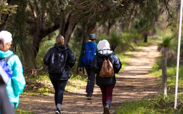 Beginner-Friendly Summer Hikes in Perth: Discover Nature at Your Pace