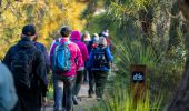 Solo Trails, Shared Stories: Embark on Unforgettable Journeys