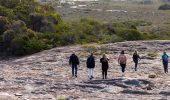 Why Soft Hiking Is the New Group Therapy