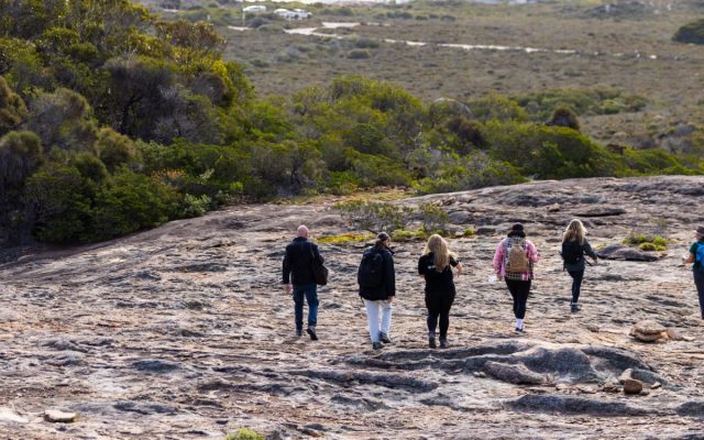 Why Soft Hiking Is the New Group Therapy