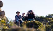 The Wildflower Capital of the World (and Why That Isn’t Marketing)