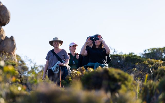The Wildflower Capital of the World (and Why That Isn’t Marketing)