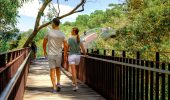 All You Need to Know About Walking Trails in Kings Park