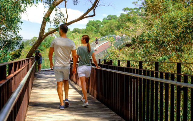 All You Need to Know About Walking Trails in Kings Park