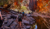 Why You Can’t Focus Anymore And How the Trail Can Help