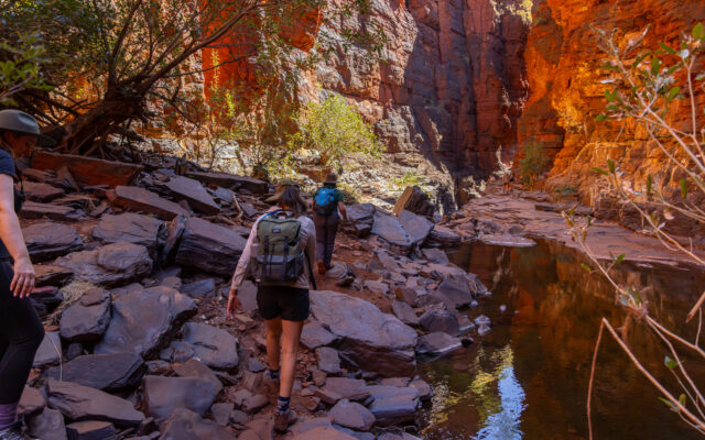 Why You Can’t Focus Anymore And How the Trail Can Help