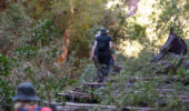 Karijini National Park: The Ultimate Hiking Guide to Western Australia’s Ancient Heart