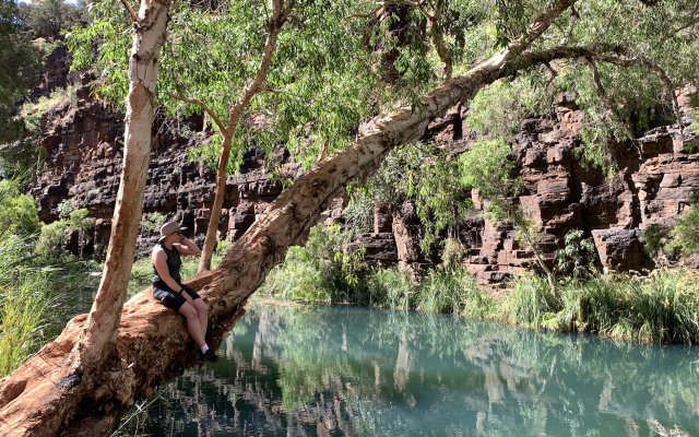Karijini
