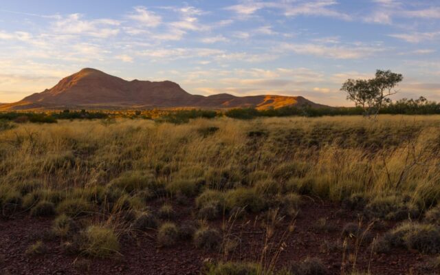 Mount Bruce Summit Trail: Our Sunrise Hike Experience