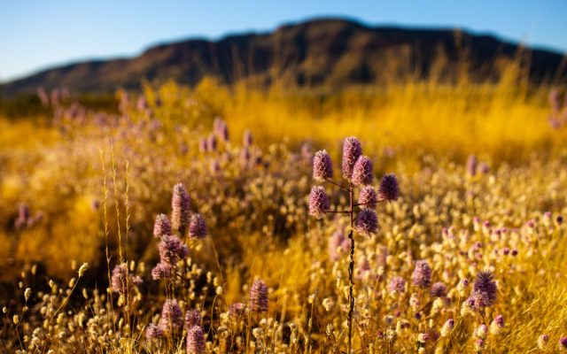 What to Put on Your Autumn Hiking List Right Now