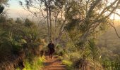 Small Loops, Big Shifts: 10 Short Walks That Leave a Long Impression