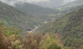 Serpentine Falls: The Ultimate Guide to Hiking and Relaxing in Nature