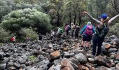 Challenging bushwalks on Armadale Six Seasons Trails with guided group hiking experiences in Perth hills