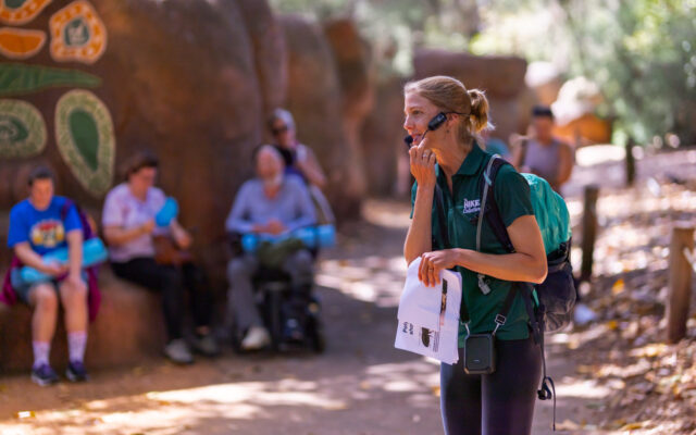 Accessible Hiking in WA: Exploring Nature at Your Own Pace