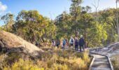 What Is Soft Hiking? A Beginner’s Guide to Walking Mindfully Through Nature