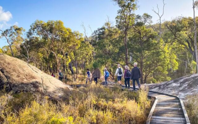 What Is Soft Hiking? A Beginner’s Guide to Walking Mindfully Through Nature