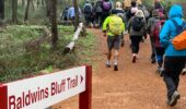 Baldwin’s Bluff Trail hiking experience