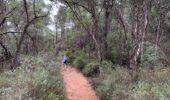 Baldwin’s Bluff Hiking trail