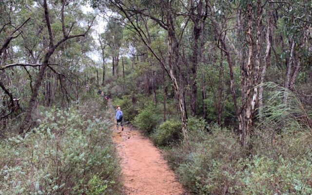 WA Trails