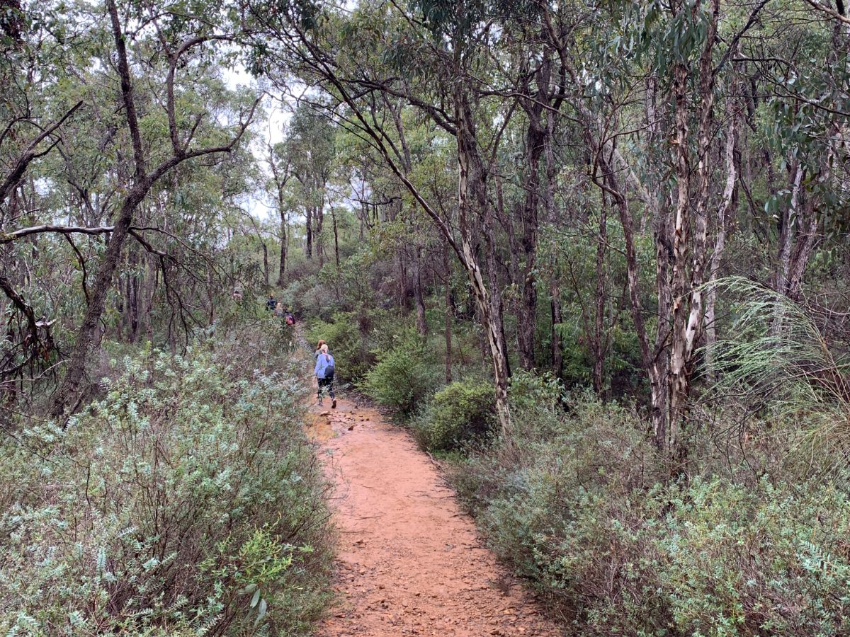 Baldwin’s Bluff Hiking trail
