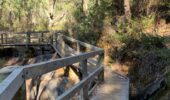 Baldwins Bluff hiking