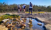 Guided hiking tour Bibbulmun Track | Nature connection WA trails